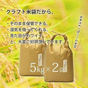 福岡県産【特A】評価のお米「元気つくし」5kg×2袋 [10kg] [白米]【米 お米 元気つくし 米 こめ 福岡県 米 白米 米 お米 人気 国産 米 お米 元気つくし 米 こめ 福岡県 米 白米 
