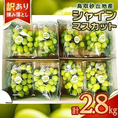 
            914．シャインマスカット 訳あり 家庭用 鳥取砂丘地産 2.8kg（350g×8パック） ※離島への配送不可 ※2025年8月下旬頃～10月下旬頃に順次発送
          