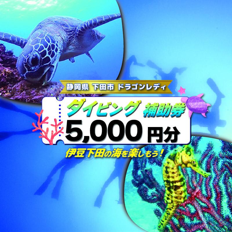 ダイビング 補助券 5,000円分 優待券 下田 体験 海 アウトドア スポーツ アクティビティ マリンスポーツ レジャー 旅行 観光 夏休み 白浜 ホテル伊豆急 内 ドラゴンレディ 静岡県 下田市 伊豆 PTS019-00014