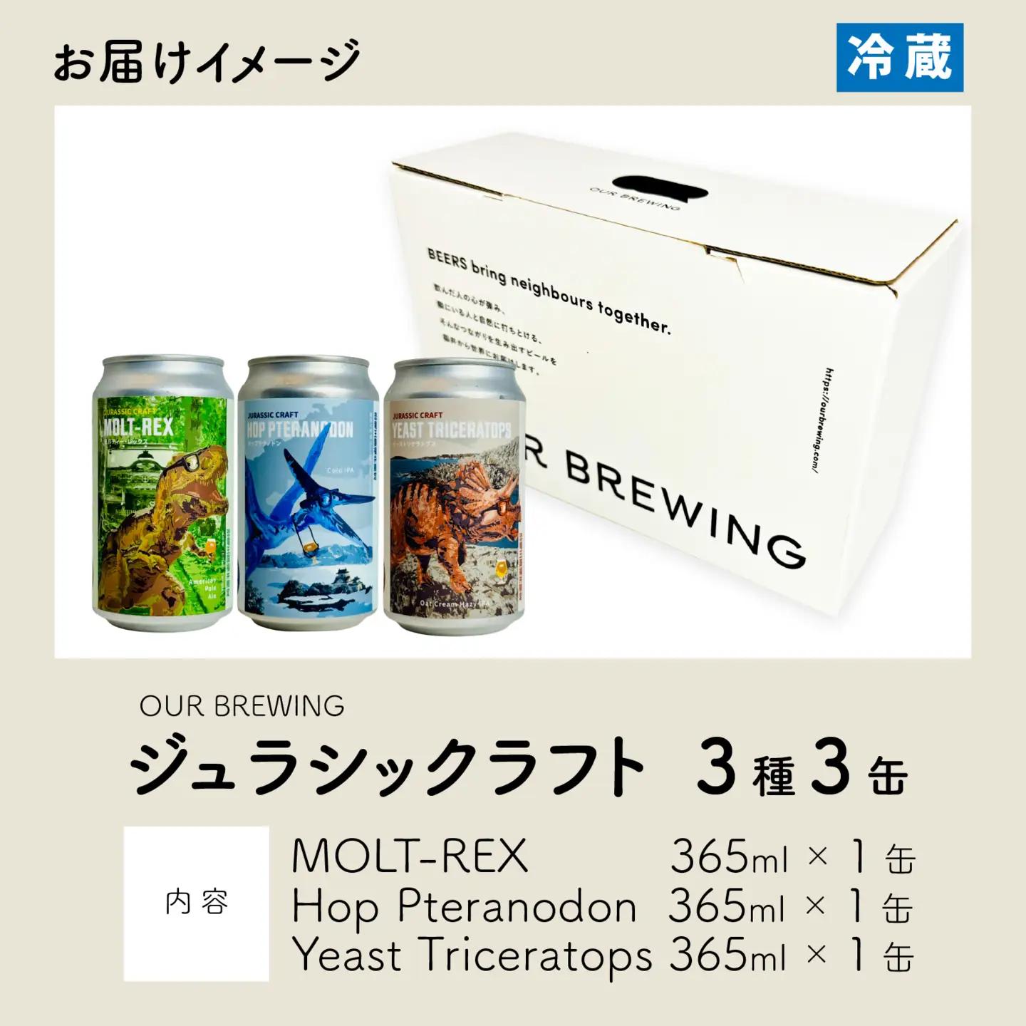 OUR BREWING クラフトビール　【ジュラシックラフト】3種3缶セット [A-156001] / ビール