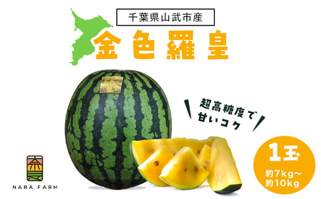 金色羅皇　SMAF004