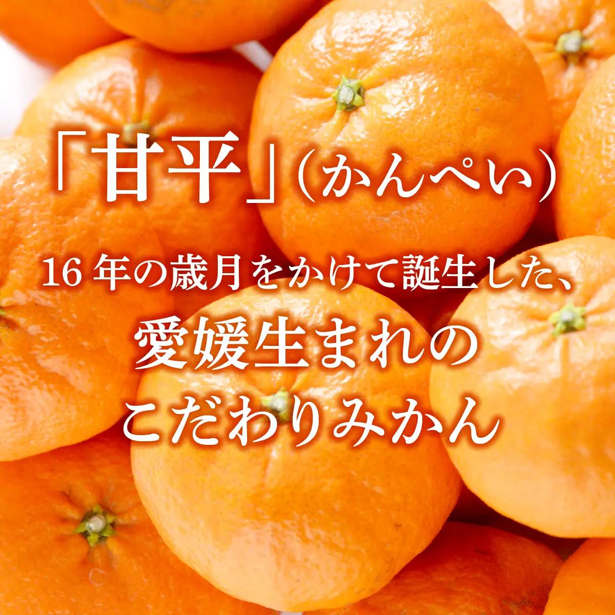 みかん ＜先行受付＞ 甘平 かんぺい レギュラー箱 5kg 愛媛