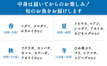 【9月配送開始】〈配送地域限定〉 産地直送 氷見漁港 朝どれ鮮魚お刺身セット定期便3ヶ月連続配達指定なし