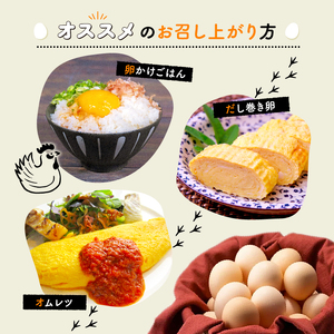 【6回定期便】赤たまご 30個定期便 【卵定期便】 [038MF002R]  