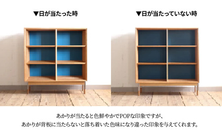 本棚 ブックシェルフ 組立式 W900×D300×H970(mm) / Frost Green