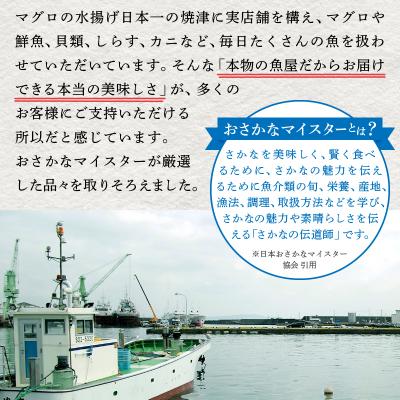 ふるさと納税 焼津市 焼津 天然 南 まぐろ 中トロ 付き セット3(a50-095) |  | 02