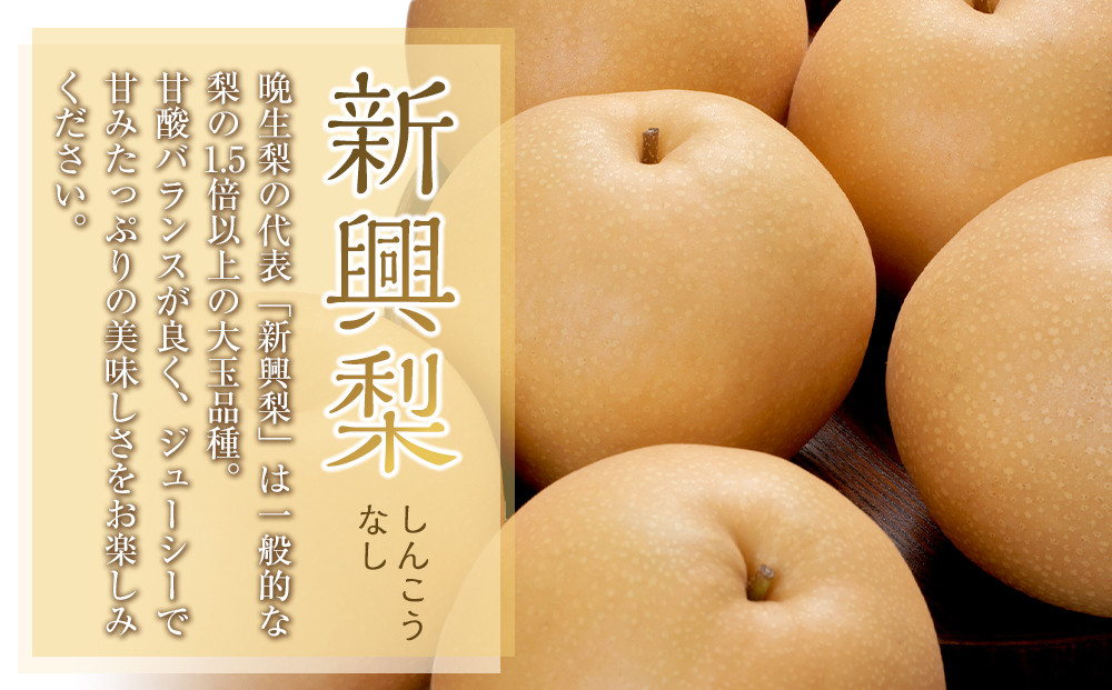 927.【先行予約】【訳あり】新興梨 4kg（4～16玉前後）≪果物 フルーツ くだもの≫　※2026年10月上旬～11月下旬頃に順次発送予定