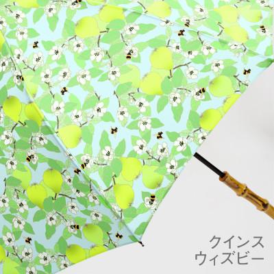 ふるさと納税 東大阪市 EMILY BURNINGHAM 晴雨兼用パゴダ長傘47cm[クインスウィズビー] |  | 03