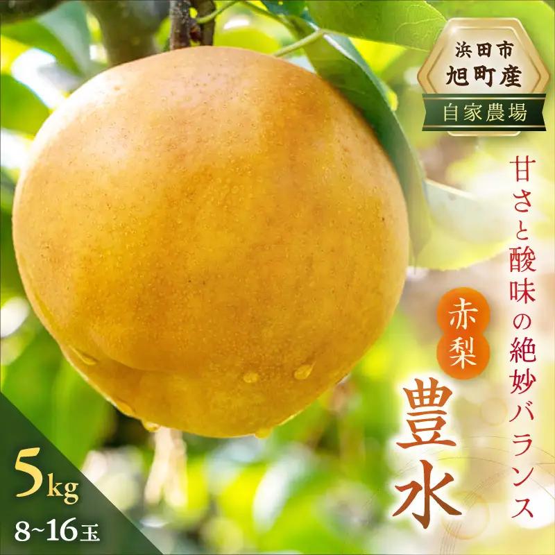 【先行予約】 赤梨（豊水） 5kg 8～16玉 梨 豊水 果物 【002_1964】