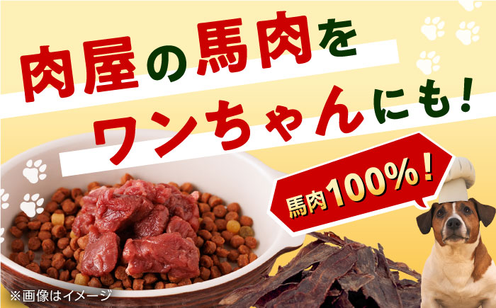 【全6回定期便】詰め合わせ 国内加工 ペット用 馬肉 切り落とし 1kg ペット用 馬刺しジャーキー 100g(50g×2)【五右衛門フーズ】 [YBZ069]