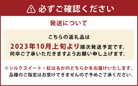 【2023年10月上旬発送開始】 産地直送！ さつまいも シルクスイート 紅はるか 約10kg 熊本県 益城町産 焼き芋 ふかし芋 大学芋