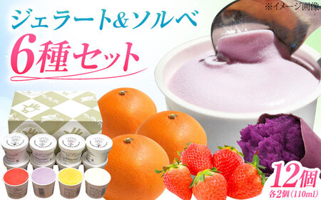 ジェラート&ソルベ 12個 BKAD090 アイス