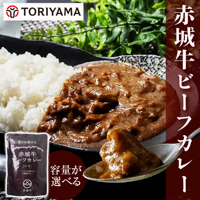 【ふるさと納税】赤城牛ビーフカレー 200g 中辛 容量が選べる レトルト食品 常温保存 詰め合わせ 一人暮らし F4H-0059var