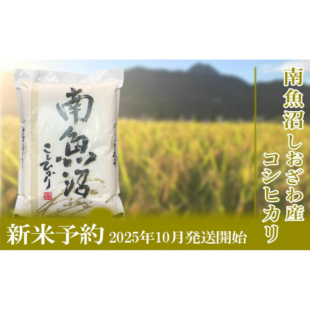 【ふるさと納税】【新米予約・令和7年産】定期便／5kg×12ヶ月 生産者限定 南魚沼しおざわ産コシヒカリ【2025年10月上旬より順次発送予定】