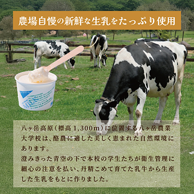 八ヶ岳農場 生ソフトクリームアイス 18個【配送不可地域：離島】