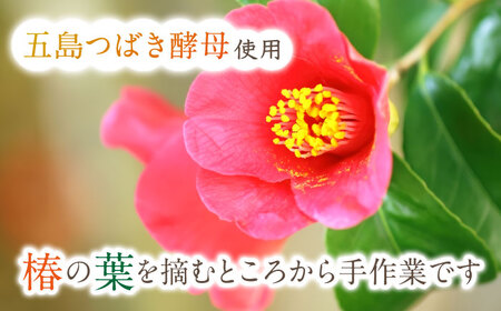 【6回定期便】 国産 小麦の ふくれもち （ 冷凍 ）   計60個 【ひとてま屋】[TDS007]