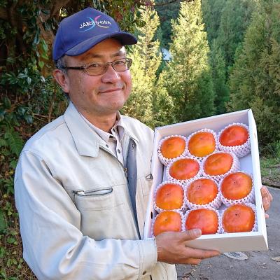 ふるさと納税 橋本市 国城観光農園の富有柿11〜12個(3〜4L) |  | 03