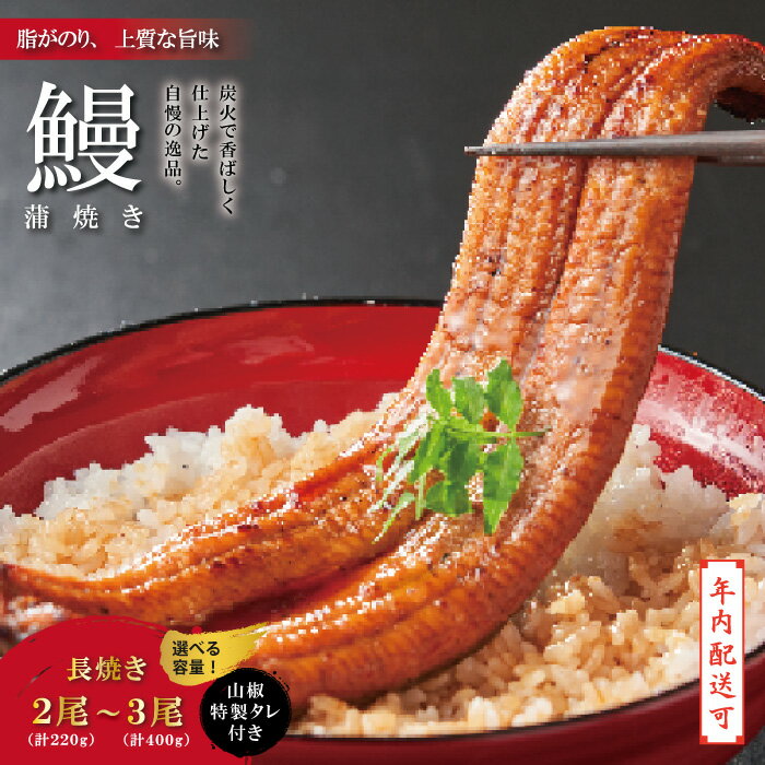 【ふるさと納税】【年内配送】＜四万十食品＞ うなぎ 蒲焼 長焼 鰻 ウナギ お取り寄せ グルメ おいしい ギフト 食品 おかず ひつまぶし うな重 魚 魚介 国産鰻 鰻蒲焼 長焼き 冷凍 国産 高知 高知県 四万十 四万十市 送料無料