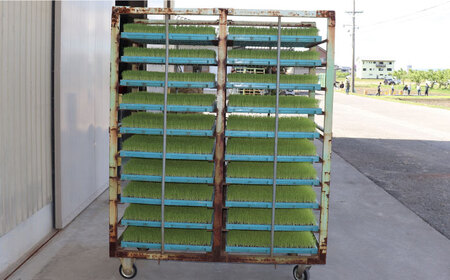 【令和7年産】岐阜市産 ハツシモ 白米 5kg【2.5kg×2P】 お米 コメ 5キロ 岐阜市/農事組合法人　下城田寺営農[ANEP003]