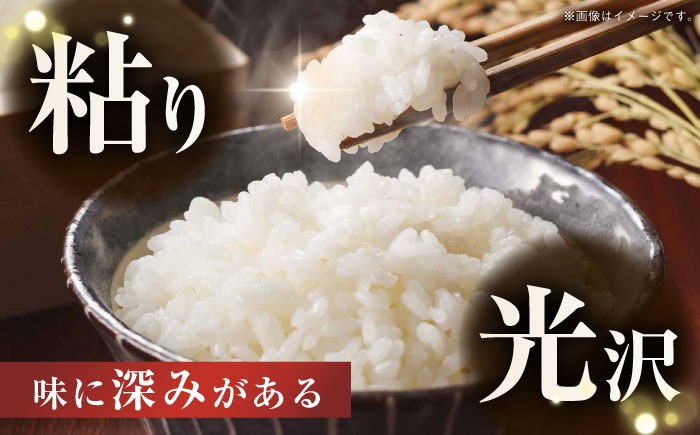 米 お米 コメ 白米 精米 国産 長崎 JA