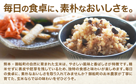玄米 10kg さこんたろう《90日以内に発送予定(土日祝除く)》熊本県 御船町 コメ おこめ ごはん 熊本県産