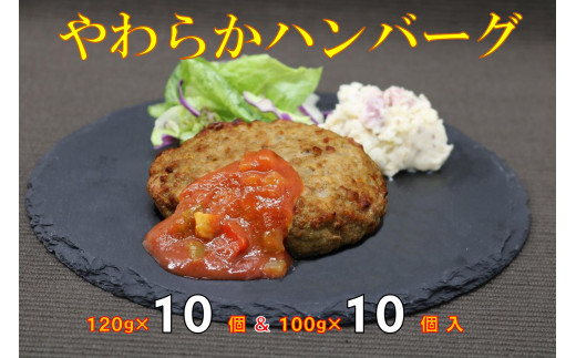 
【A12-26】やわらかハンバーグ120g & 100g 10個入りセット
