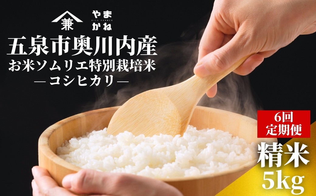 
                  【令和8年産 コシヒカリ 先行予約】 【定期便6ヶ月】コシヒカリ 5kg(5kg×1袋)× 6回 五泉市奥川内産 お米ソムリエ 特別栽培米 | 新潟産コシヒカリ 新潟県産コシヒカリ 新潟県産こしひかり 米 お米 こしひかり 白米 精米 ブランド米 新潟県 五泉市 ライスファーマーやまかね
                