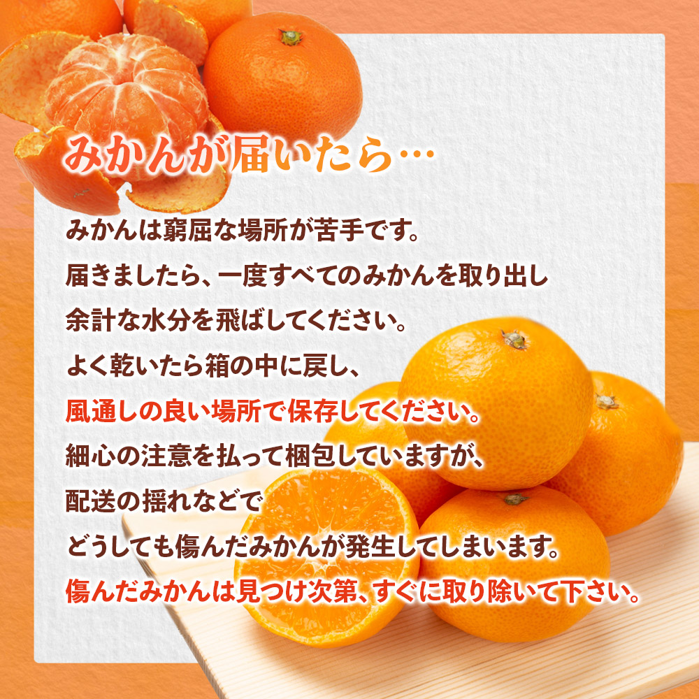 【先行受付】2026年の秋に配送！福岡県オリジナル品種極早生みかん『早味かん』約5kg＜配送不可：北海道・沖縄・離島＞ 果物 フルーツ ミカン おいしい 八女
