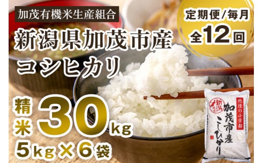 【令和7年産新米先行予約】【定期便12ヶ月毎月お届け】新潟県加茂市産コシヒカリ 精米30kg（5kg×6）《10月中旬から順次出荷》白米 加茂有機米生産組合