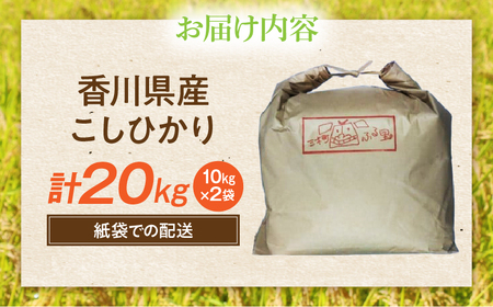 【令和7年産】香川県産こしひかり 20kg（紙袋配送）|新米 コシヒカリ こしひかり 20kg 米 白米 ごはん ご飯 朝食 白ご飯 おにぎり お弁当 おむすび お米 国産 美味しい ツヤ モチモチ 