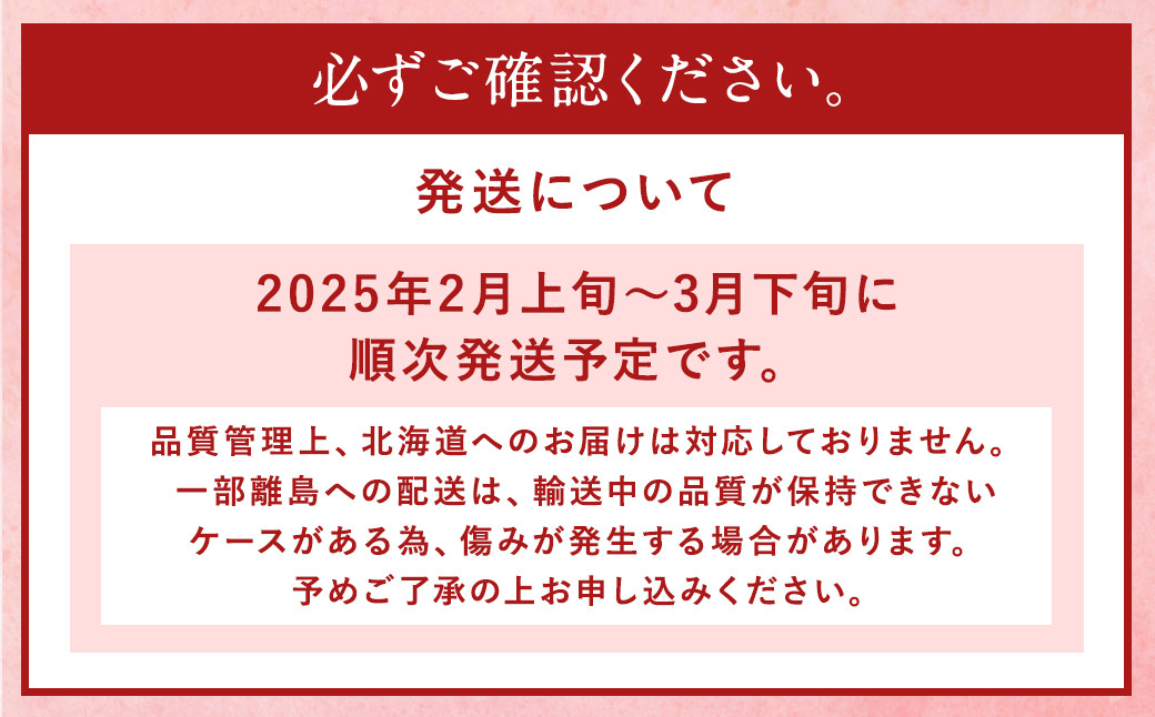 あまおう 等級DX 約1120g 約280g×4 いちご 果物 フルーツ