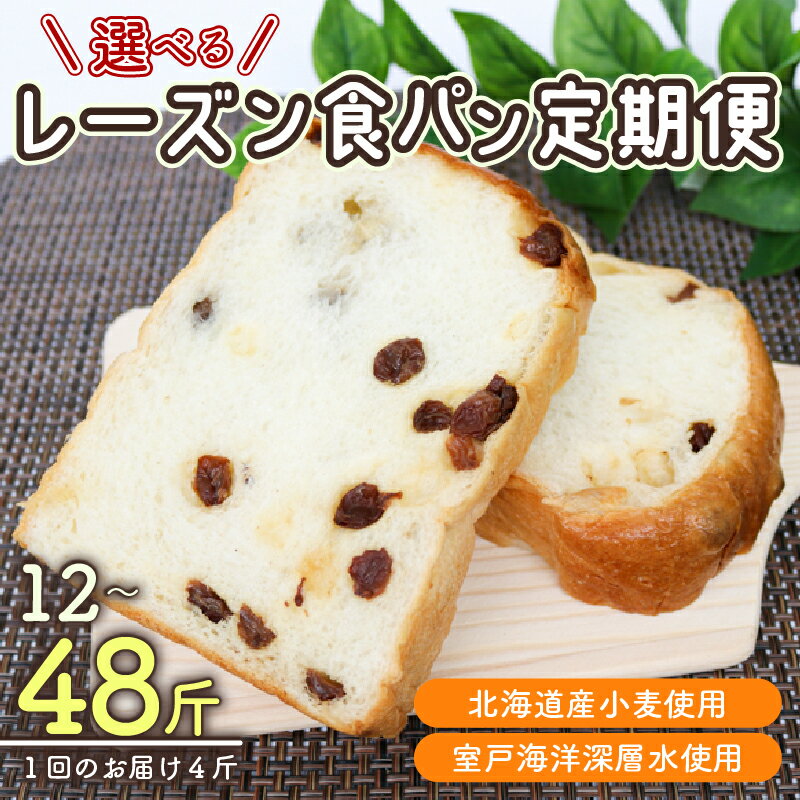 【ふるさと納税】 【室戸海洋深層水仕込み】レーズン食パン定期便 食パン ぱん 朝食 ギフト 定期便 人気 食事パン おやつ レーズン ぶどう ドライフルーツ4斤 選べる