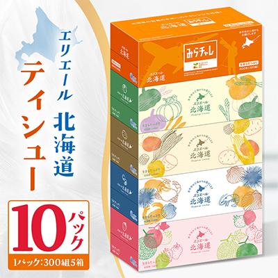 ふるさと納税 赤平市 エリエール北海道ティシューなまらたっぷり300組5箱×10パック