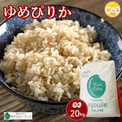ふるさと納税 比布町 令和7年産 ゆめぴりか玄米 20kg【農業生産法人ノウリエ】米 お米 北海道産 北海道米 特Aランク