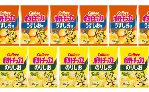 カルビー ポテトチップス レギュラー サイズ　 2種類 詰め合わせ 16袋（ うすしお ／ のりしお ） ポテチ お菓子 おかし 大量 スナック おつまみ ジャガイモ じゃがいも まとめ買い うすしお