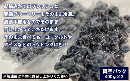 山形産 農薬不使用 冷凍ブルーベリー【ガイアの雫】1.2kg(400g×3)★真空包装★ FZ23-582
