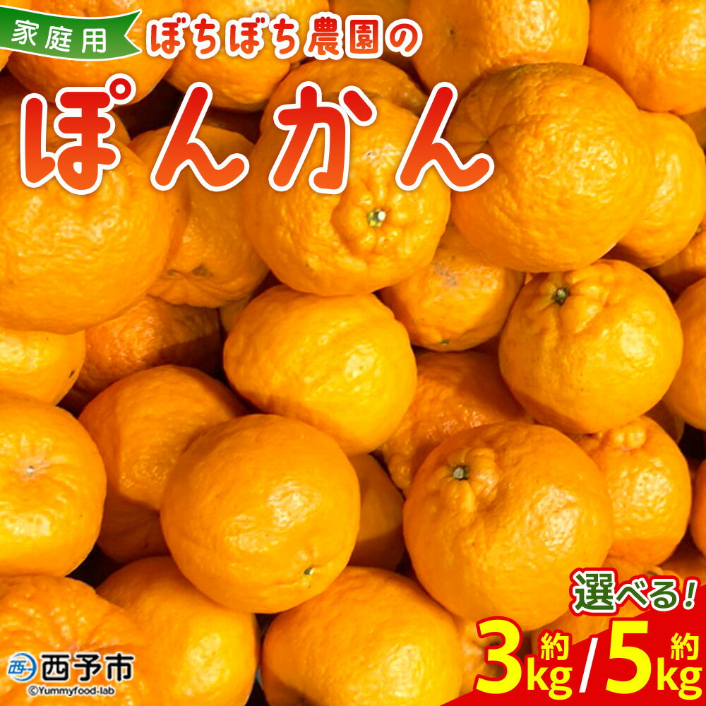 【ふるさと納税】＜ぼちぼち農園のぽんかん 家庭用 約3/5kg＞ 選べる 3キロ 5キロ ぽんかん ポンカン 訳あり わけあり ワケアリ 果物 みかん ミカン 柑橘 フルーツ 生産量日本一 国産 特産品 ぼちぼち農園 愛媛県 西予市【常温】『2026年1月～2月迄に順次出荷予定』