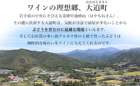 赤ワイン飲み比べ２本セット【箔押しギフトＢＯＸ入り】自社畑ツヴァイゲルトレーベ2018・2019【1428】