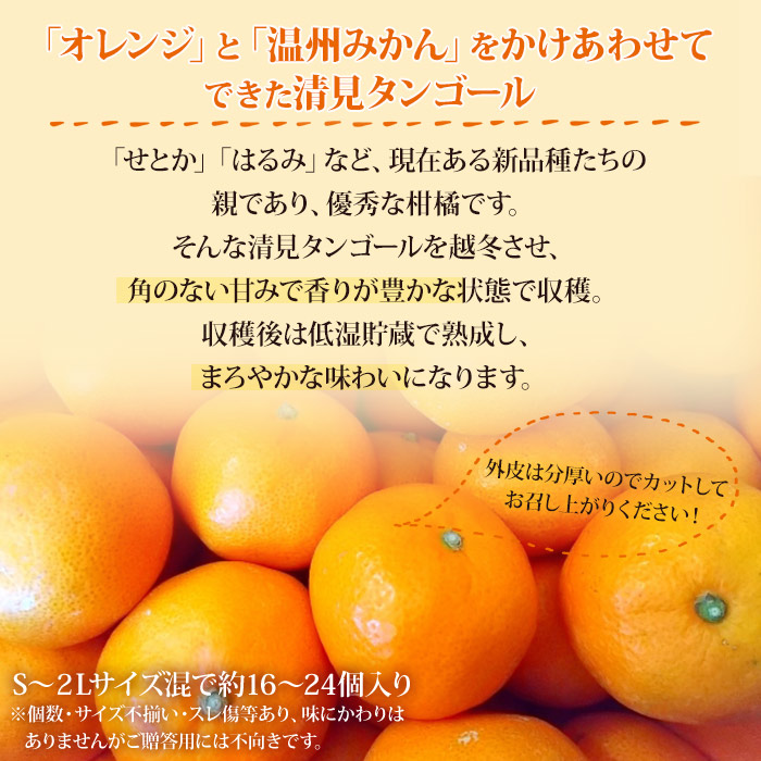 ＜愛媛県西予市産 蔵出し熟成清見 約4kg＞ 果物 フルーツ みかん オレンジ きよみ 柑橘 家庭用 愛媛県 西予市