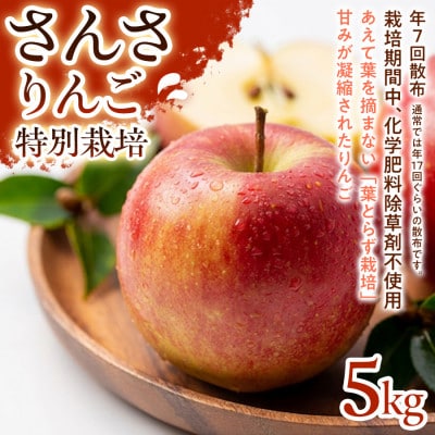 【ほどよい酸味と甘み】さんさ 5kg 1セット【1780250】