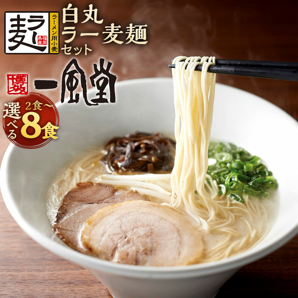 【ふるさと納税】＜選べる内容量＞一風堂白丸ラー麦麺セット 2食 / 4食 / 6食 / 8食 麺・スープ ラー麦 豚骨スープ とんこつ ラーメン らーめん 拉麵 麺類 惣菜 中華 グルメ 国産 九州 福岡県 大任町 送料無料
