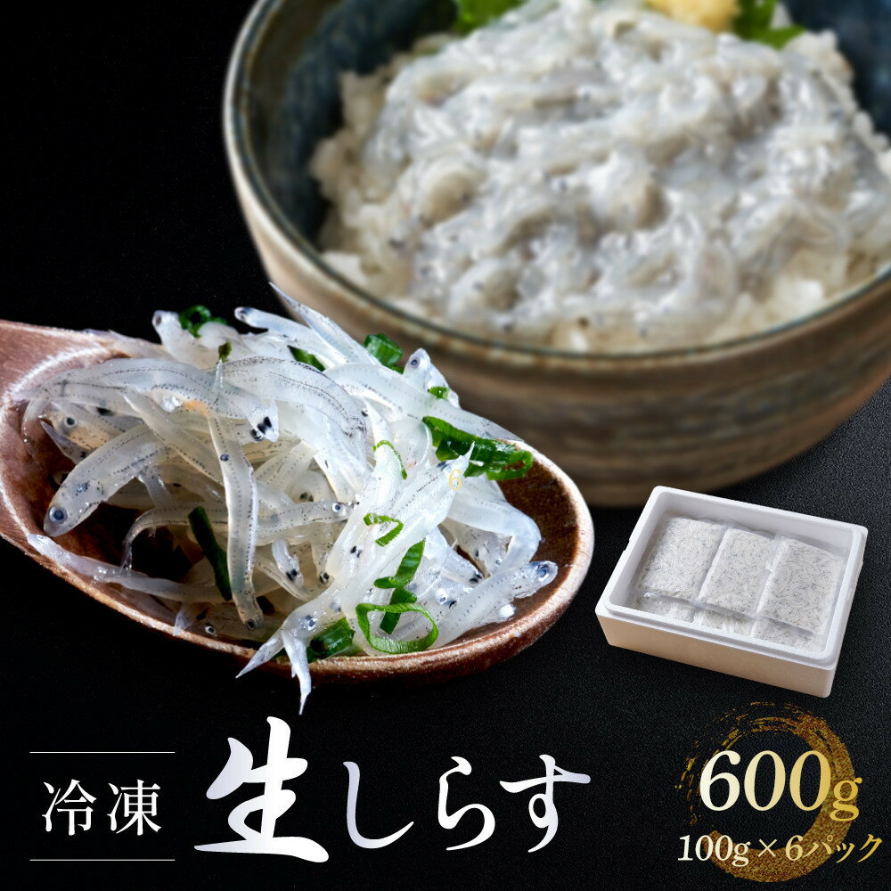 【ふるさと納税】冷凍生しらす600g（100g×6）静岡県御前崎産 生しらす丼 6杯分 小分け 個包装 便利 大容量 徳用 海鮮丼 使いやすい食べきりサイズ どんぶり 刺身 おつまみ おかず 惣菜 晩ごはん | 魚 お魚 さかな 食品 人気 おすすめ 送料無料
