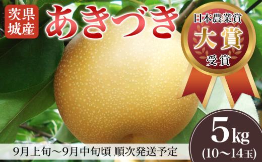 【 先行予約 】 茨城県産 「 あきづき 」 約5kg 【 2026年9月上旬～9月中旬にかけて発送予定 】【 梨 果物 くだもの フルーツ 国産 季節限定 人気 贈り物 お取り寄せ デザート 】