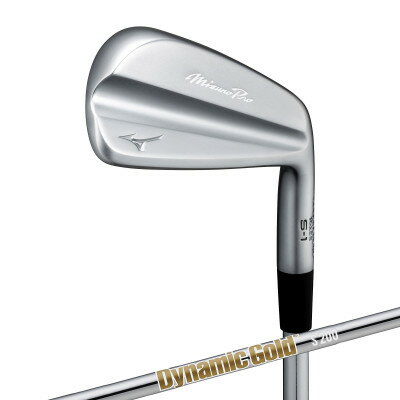 【ふるさと納税】Mizuno Pro S-1 アイアン 6本組(No.5～9、PW)　5KJSS32906S2【1667694】