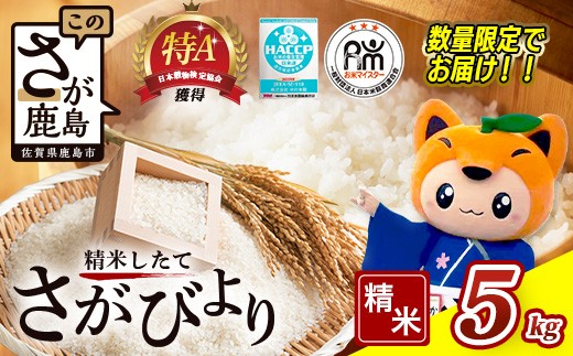 新米 予約受付 さがびより 令和8年産 佐賀県産 さがびより 5kg 白米 11月より順次発送予定 | ふるさと納税 米 お米 国産 佐賀県 鹿島市 ふるさと 大自然 安全 安心 リピーター 満足 美味しい オススメ 最高評価 人気 送料無料 C-174