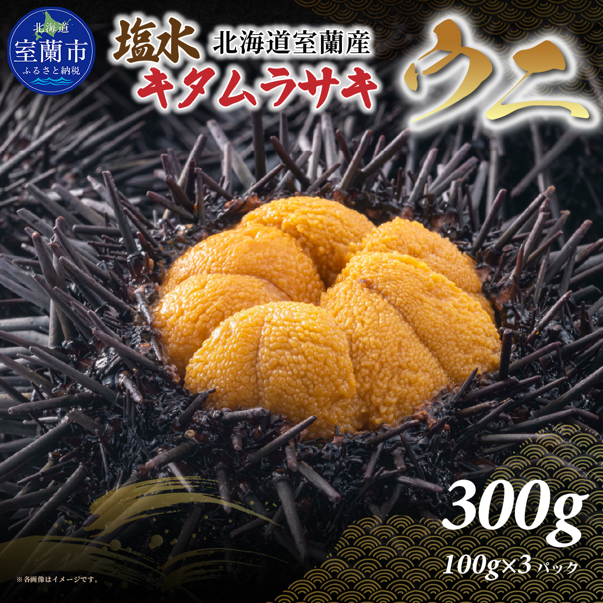 北海道室蘭産 キタムラサキウニ（塩水ウニ）（100g×3パック）【2026年7月～9月中旬頃順次発送】 MROBQ003