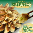 【ふるさと納税】町中華のひとくち野菜餃子：100個 or 300個【感謝祭対象★】