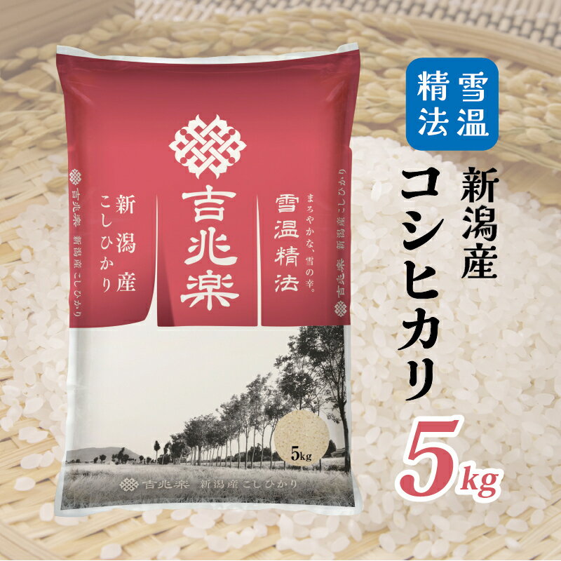 【ふるさと納税】【限定1000個】 令和6年産 雪温精法 新潟産 コシヒカリ 5kg 米 お米 白米 新潟県産 ブランド米 数量限定 美味しい 人気 送料無料