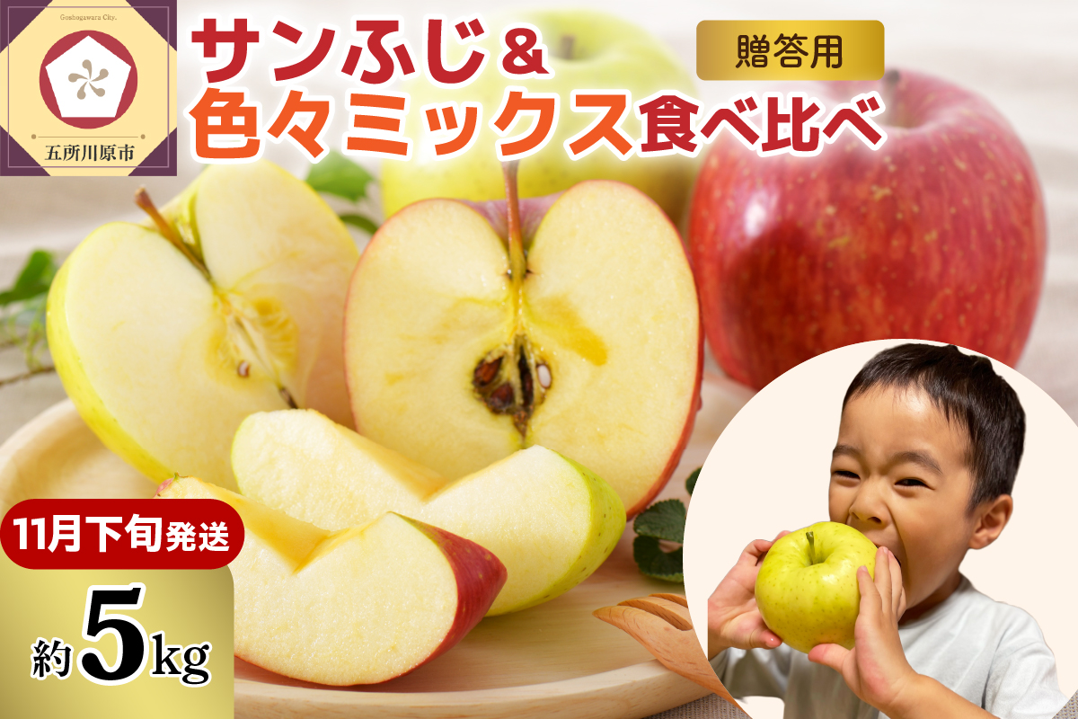 【2025年11月下旬発送】りんご青森産約5kg津軽から完熟サンふじ＆色々ミックス贈答用