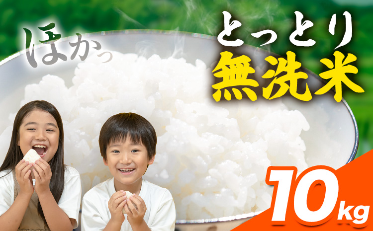 とっとり無洗米 10kg《2025年11月中旬-12月末頃出荷》鳥取県 八頭町 米 お米 白米 ご飯 八頭 ふるさと無洗米